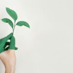 A hand painted green holds a fresh plant sprout against a light background, symbolizing growth and sustainability.